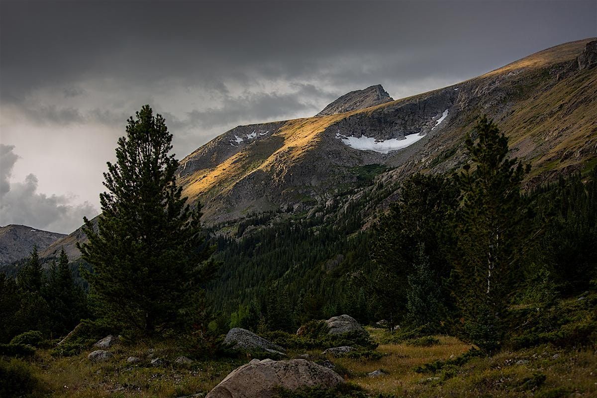 Spring Forest Bathing Walk - May 2025, 8 May | Event in Boulder | AllEvents