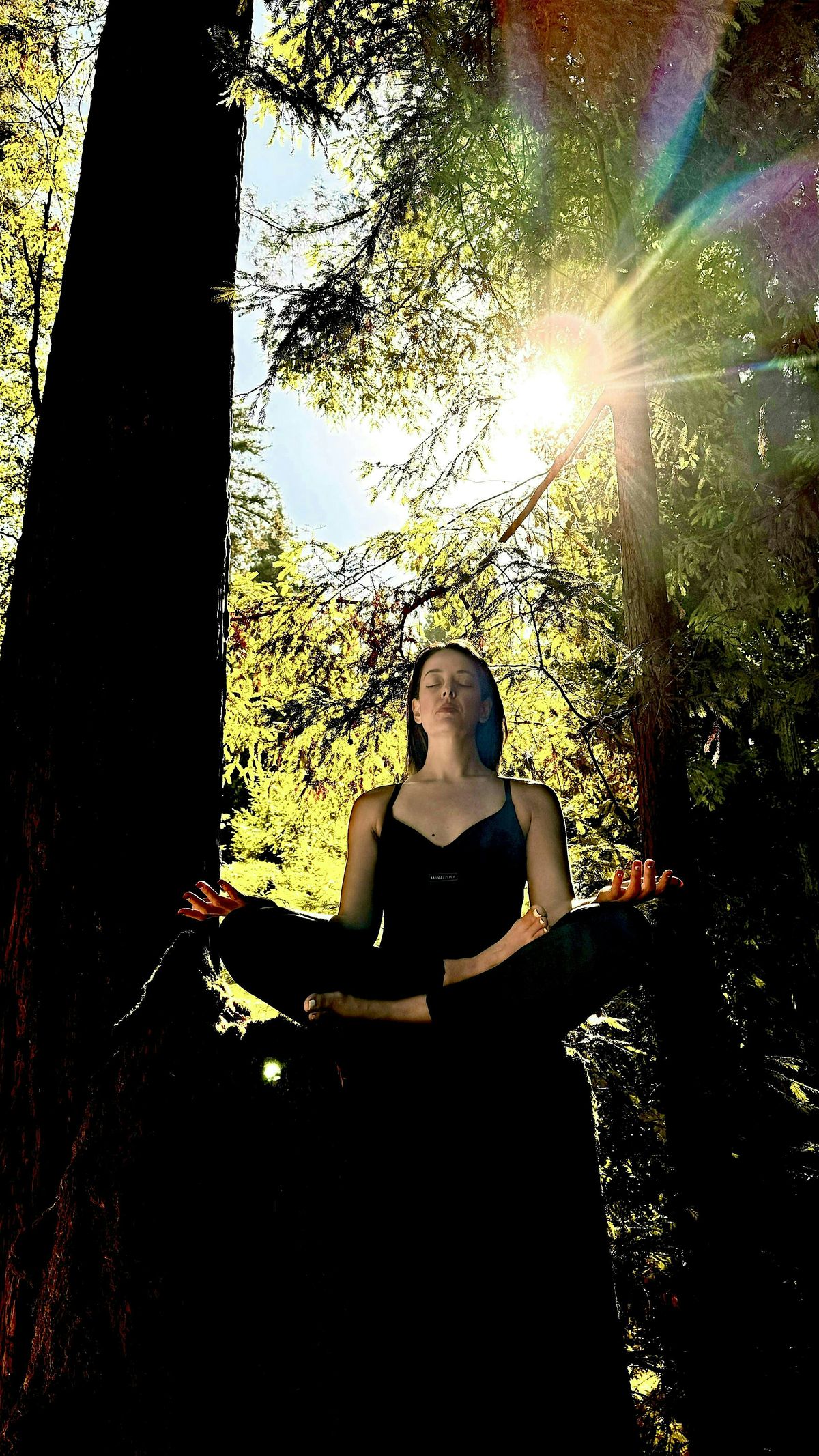 Om Gallery Summer Events: Breathwork, 1 July | Event in Santa Cruz | AllEvents