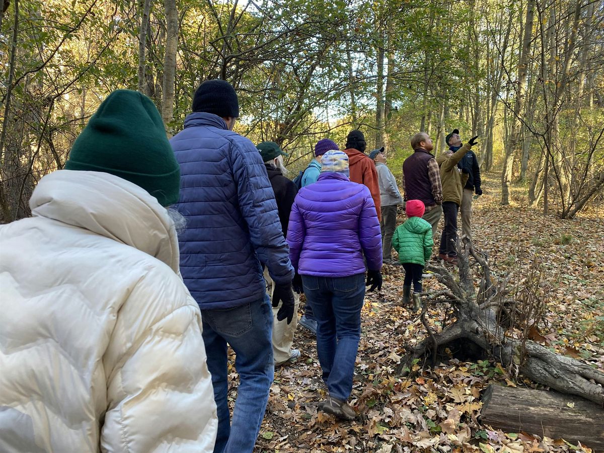 June Trail Adopter Orientation, 21 June | Event in Stoneham | AllEvents