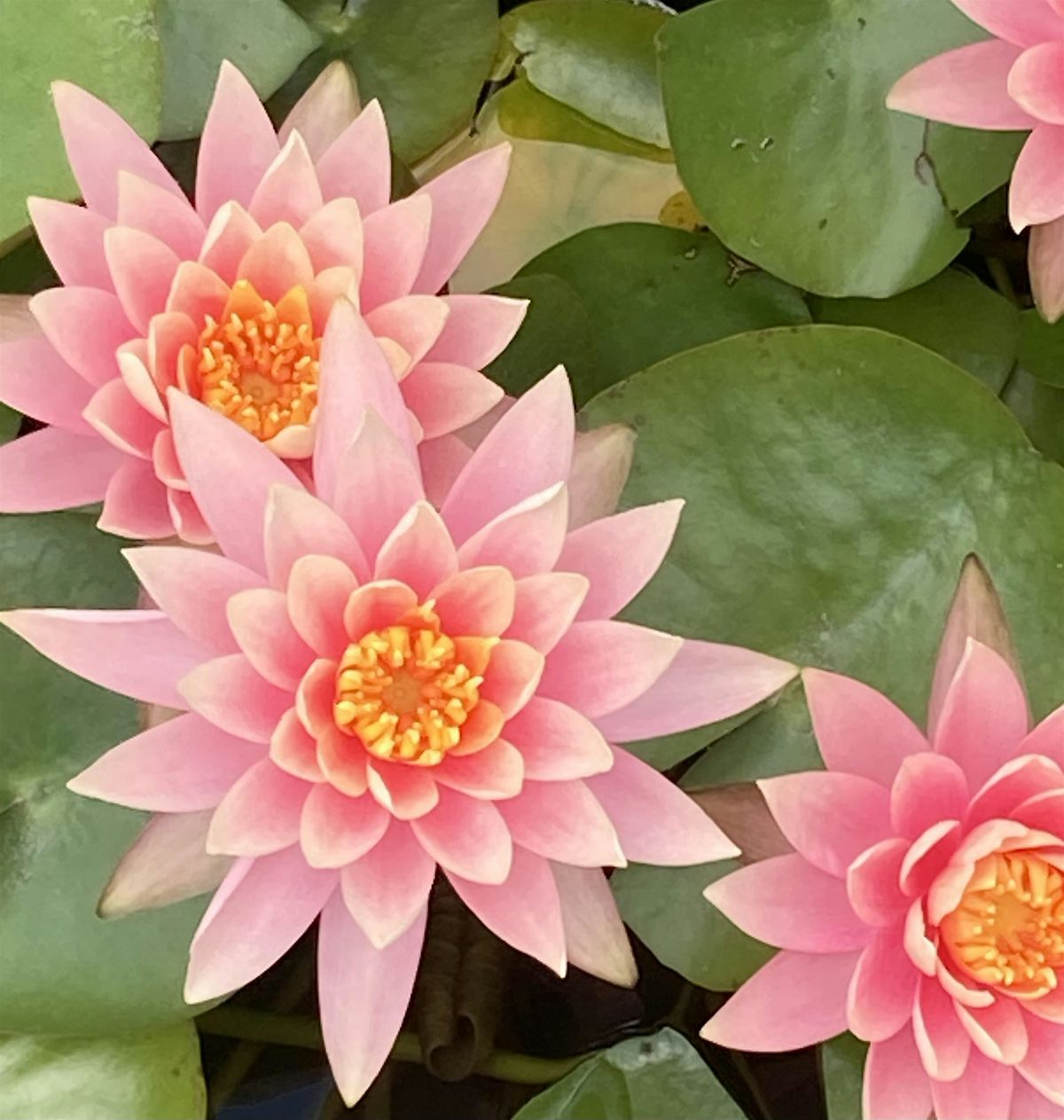 Finding Self and Being with You, 18 July | Event in El Segundo | AllEvents