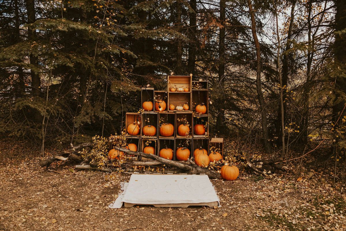 3rd Annual Rising Moon Autumn Night Market!, 10 October | Event in Sherwood Park | AllEvents