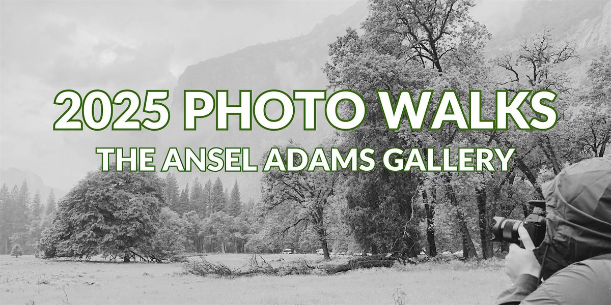 FREE Ansel Adams Photo Walk - Tue and Thur @ 9 AM (2025) | Event in Yosemite National Park | AllEvents