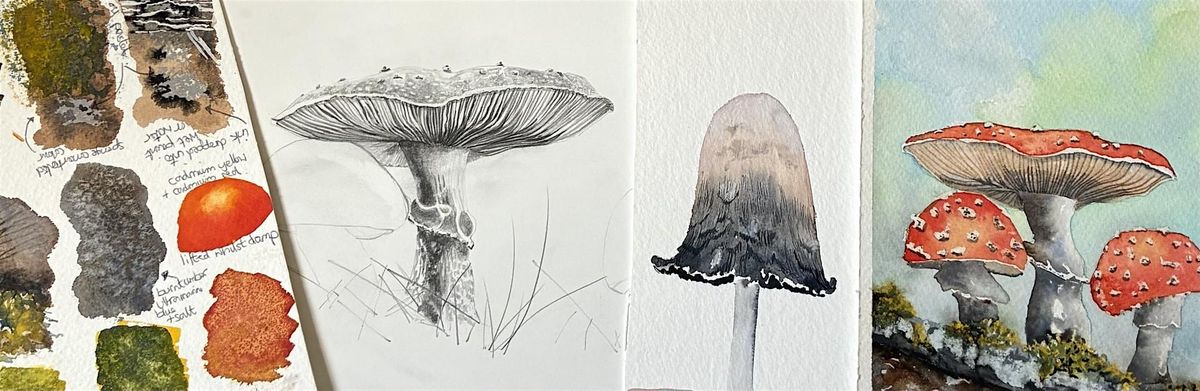 The Naze - Drawing and Painting Class Fantastic Fungi Techniques & Textures, 22 November | Event in Harwich