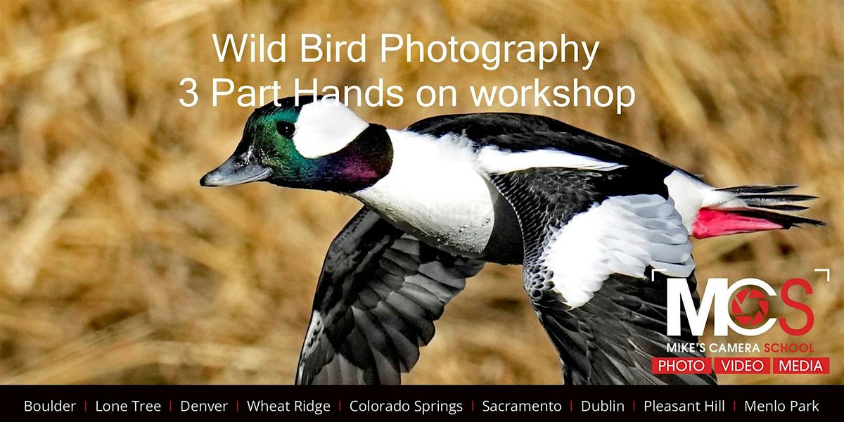 Wild Bird Photography at Kountze Lake - 3 Part workshop, 25 February | Event in Lakewood | AllEvents