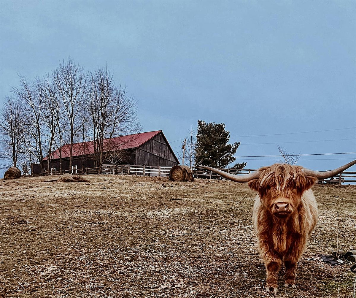 Highland Holidays: Cards, Cows & Color Watercolor Workshop, 1 November | Event in Richmond | AllEvents