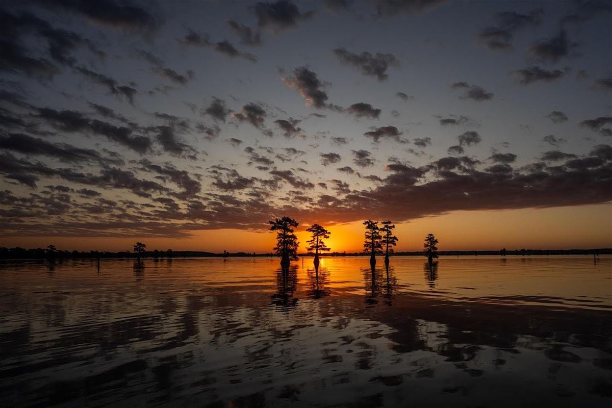 Caddo Lake: Destinations by Fort Worth Camera, 24 October | Event in Karnack | AllEvents