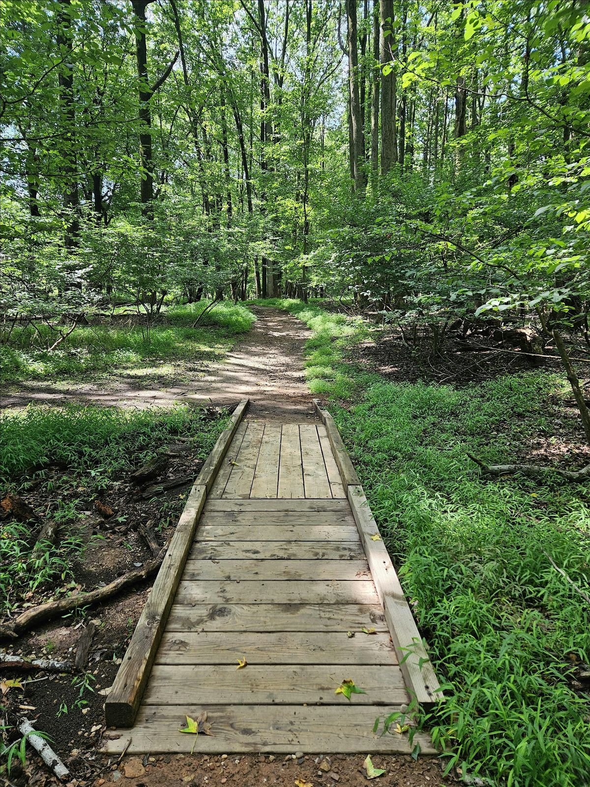 Urban Forest Plan Community Walkshop - Latourette Park (Staten Island), 5 June | Event in Staten Island | AllEvents
