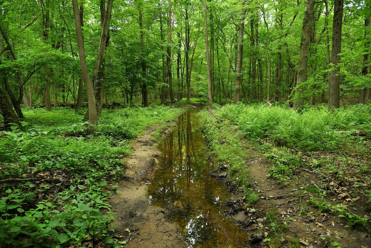 Sandy Brook Walking Tour, 17 May | Event in Staten Island | AllEvents