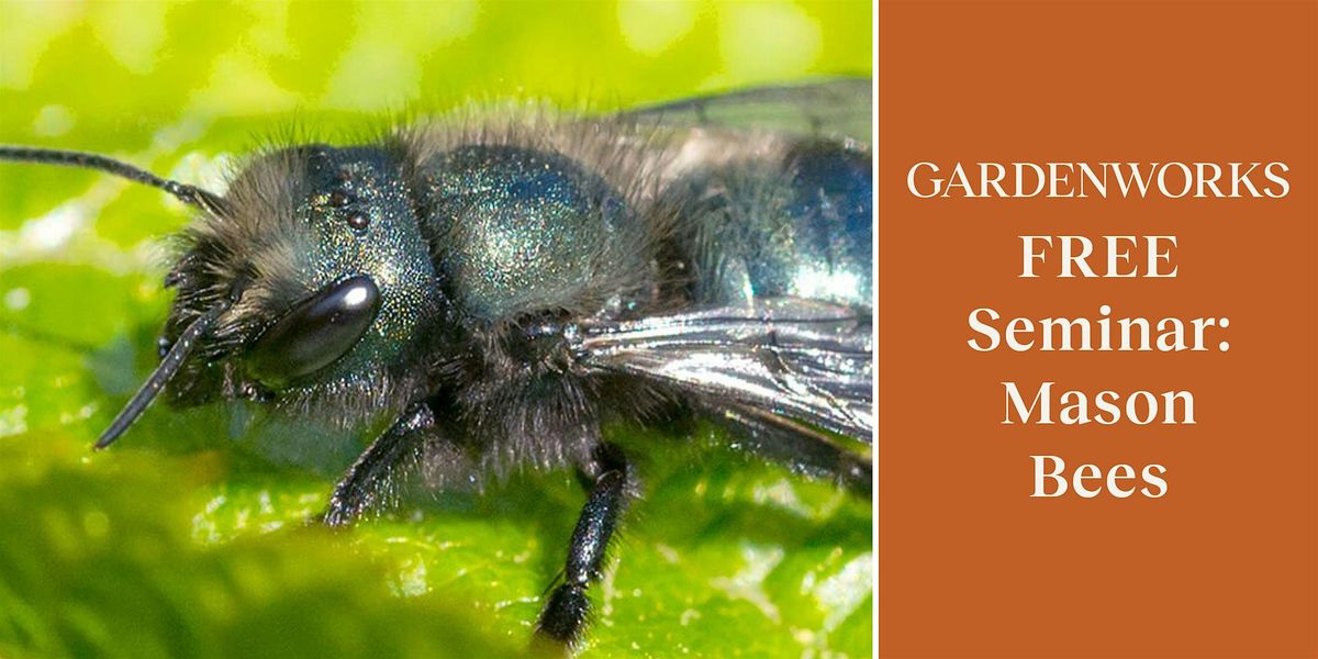 FREE Seminar: Mason Bees at GARDENWORKS Burnaby-Lougheed, 18 October | Event in Burnaby | AllEvents