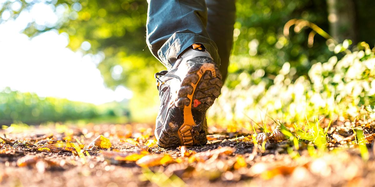 Walk in the Woods, 4 October | Event in Youngstown | AllEvents