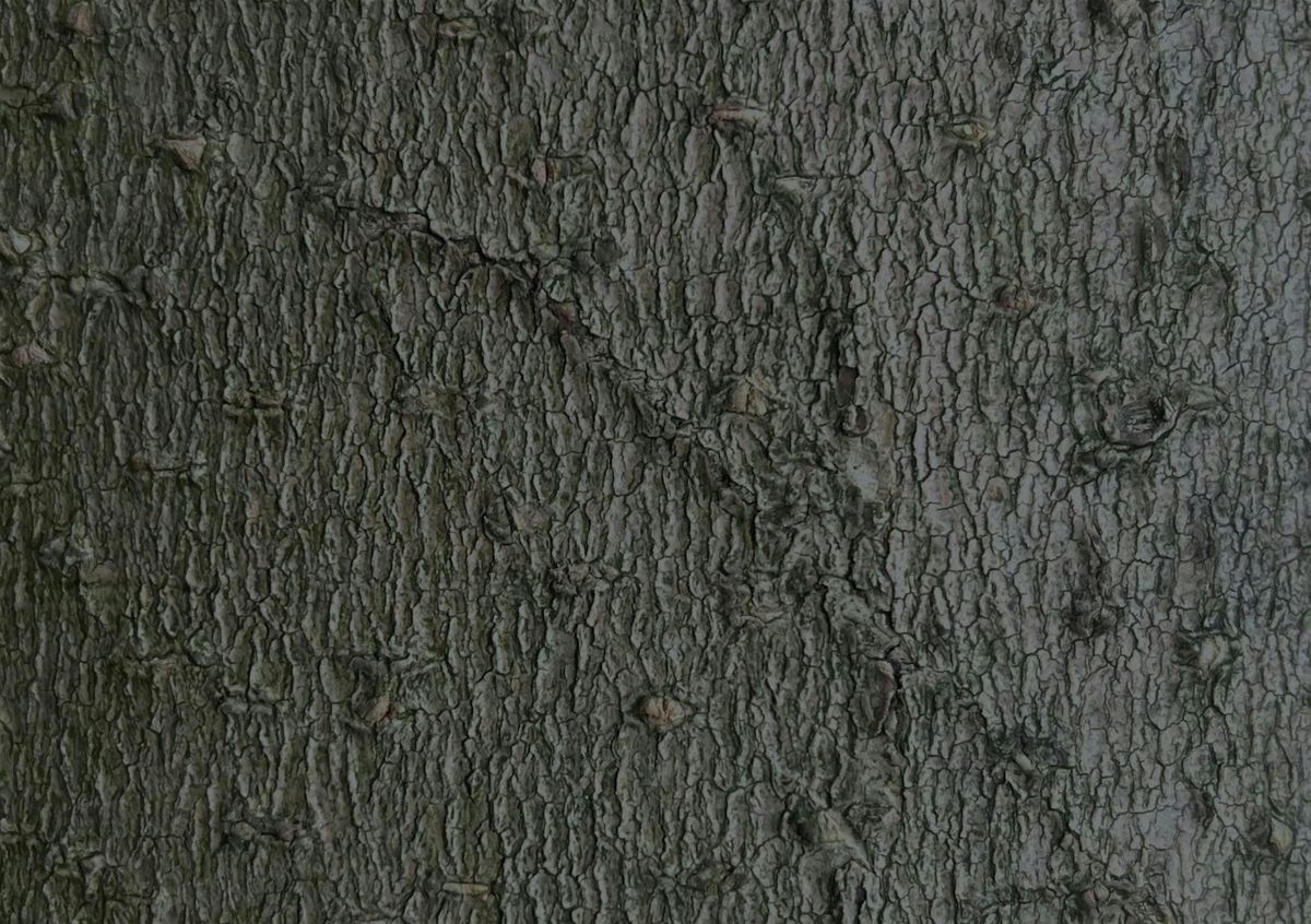 Music We'd Like to Hear in November - Skogen, 29 November | Event in London | AllEvents