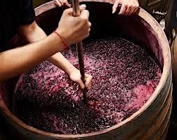 From Vine to Wine:  How Wine is Made, 6 November | Event in Evanston | AllEvents