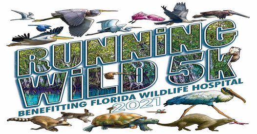 Wickham Park Events List Of All Upcoming Wickham Park Events In West Melbourne Wickham Park Events 2022