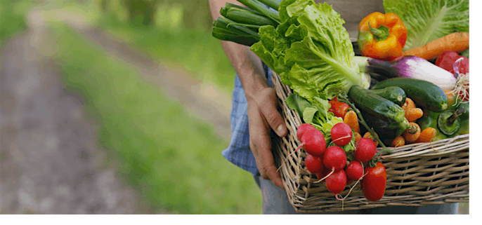 Farm Direct Marketing Strategy, 19 May | Event in Newberry | AllEvents