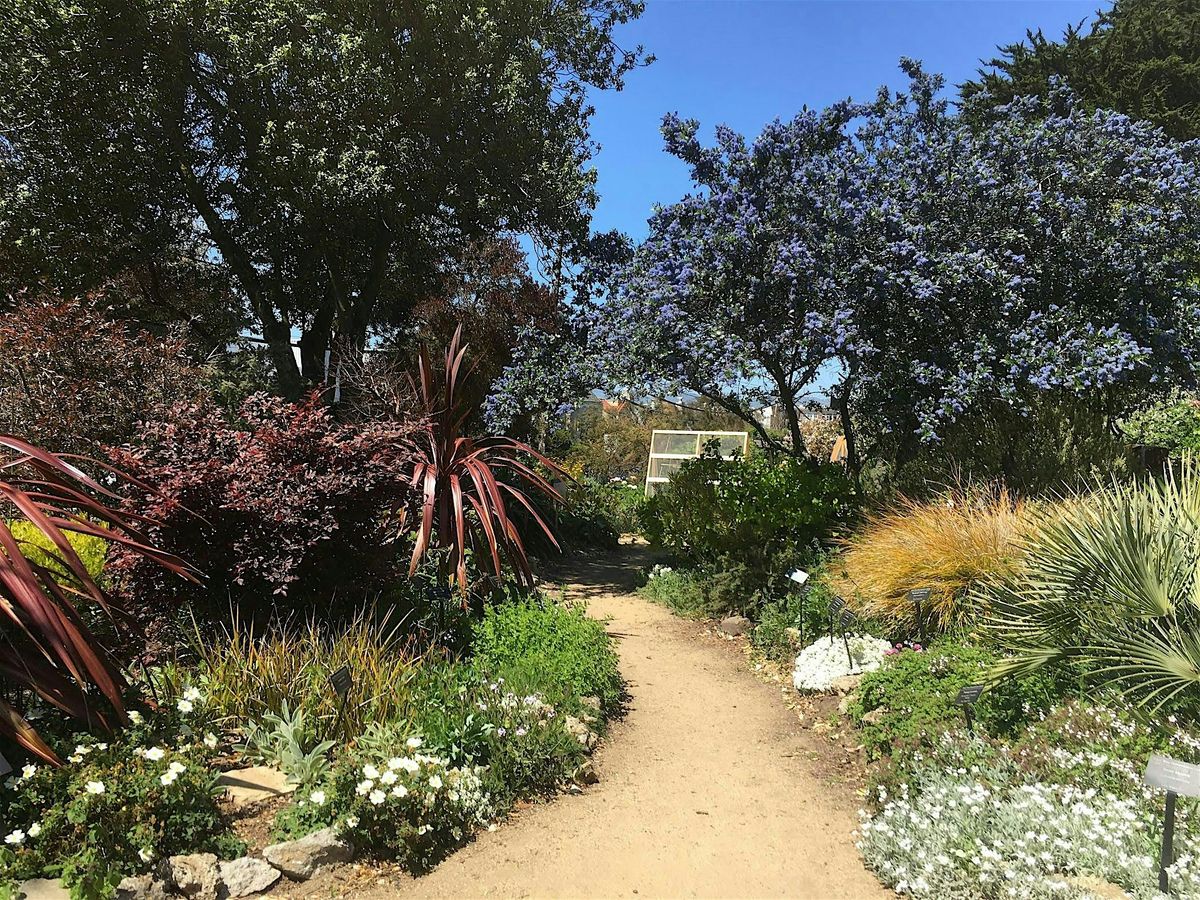 Introduction to Sustainable Gardening Series: Summer 2025, 7 June | Event in San Francisco | AllEvents