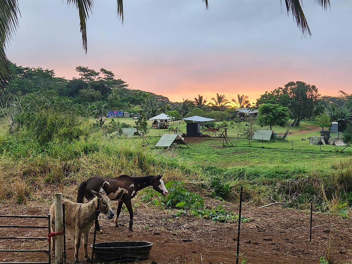 A Gala of Hope, Together We Grow, 23 August | Event in Kilauea | AllEvents