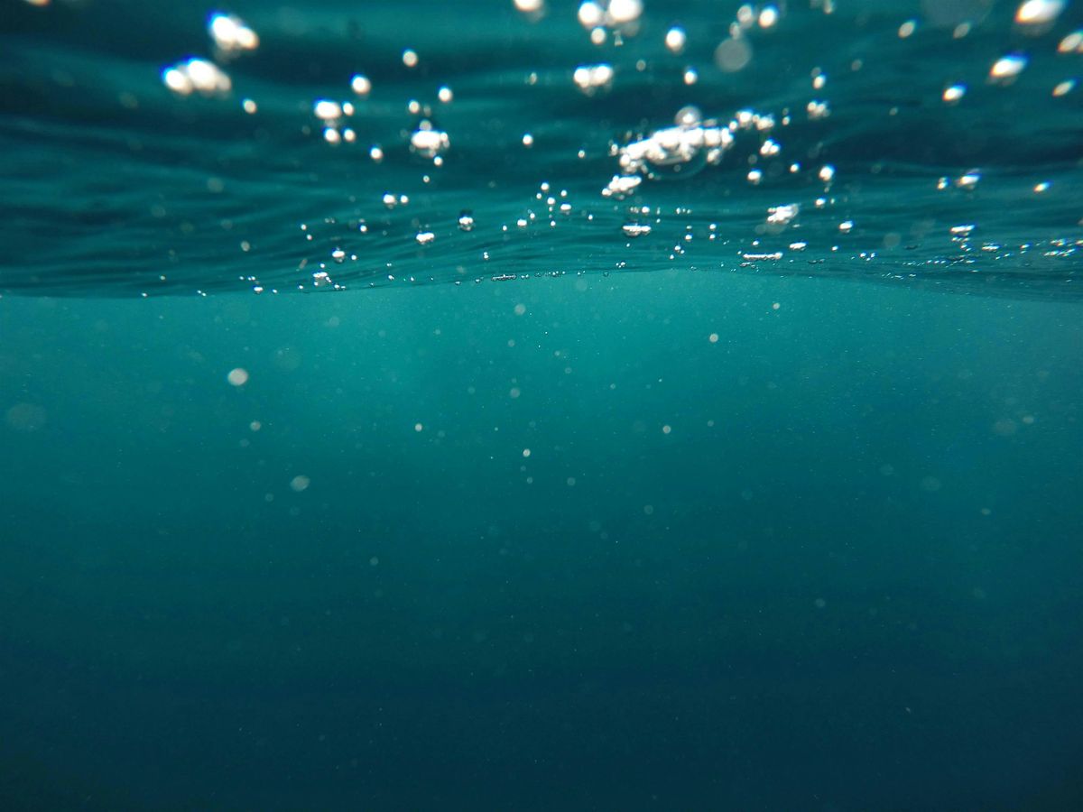 Blue Tech Talk - Featuring Ashley Medeiros; Ocean Tech Hub, 9 July | Event in Newport | AllEvents
