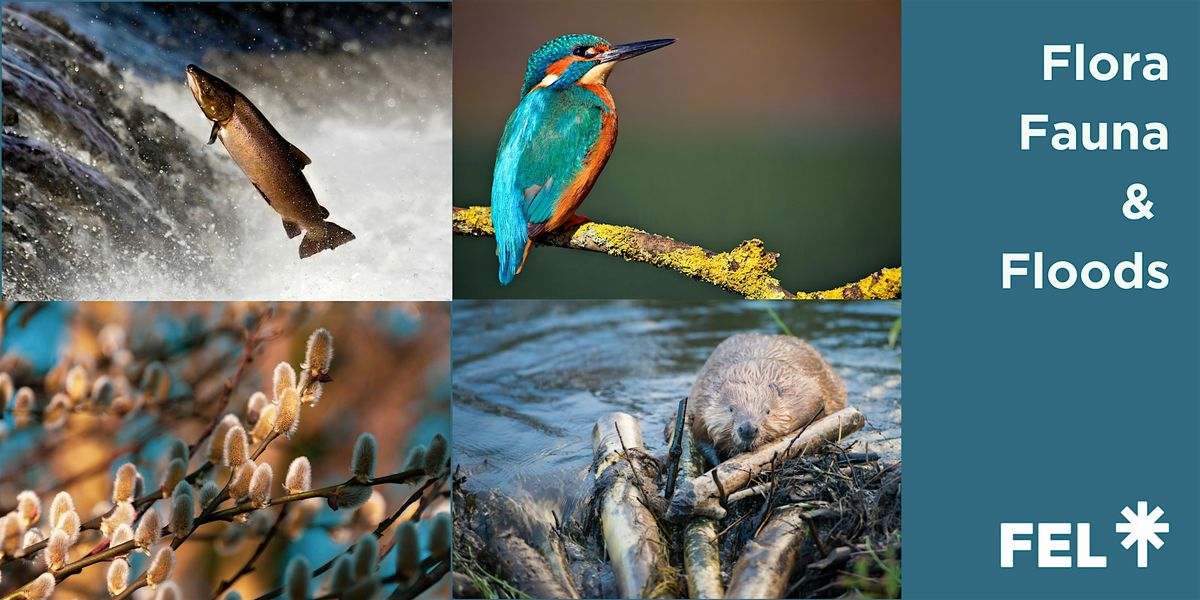 Flora, Fauna & Floods, 10 December | Event in Callander | AllEvents