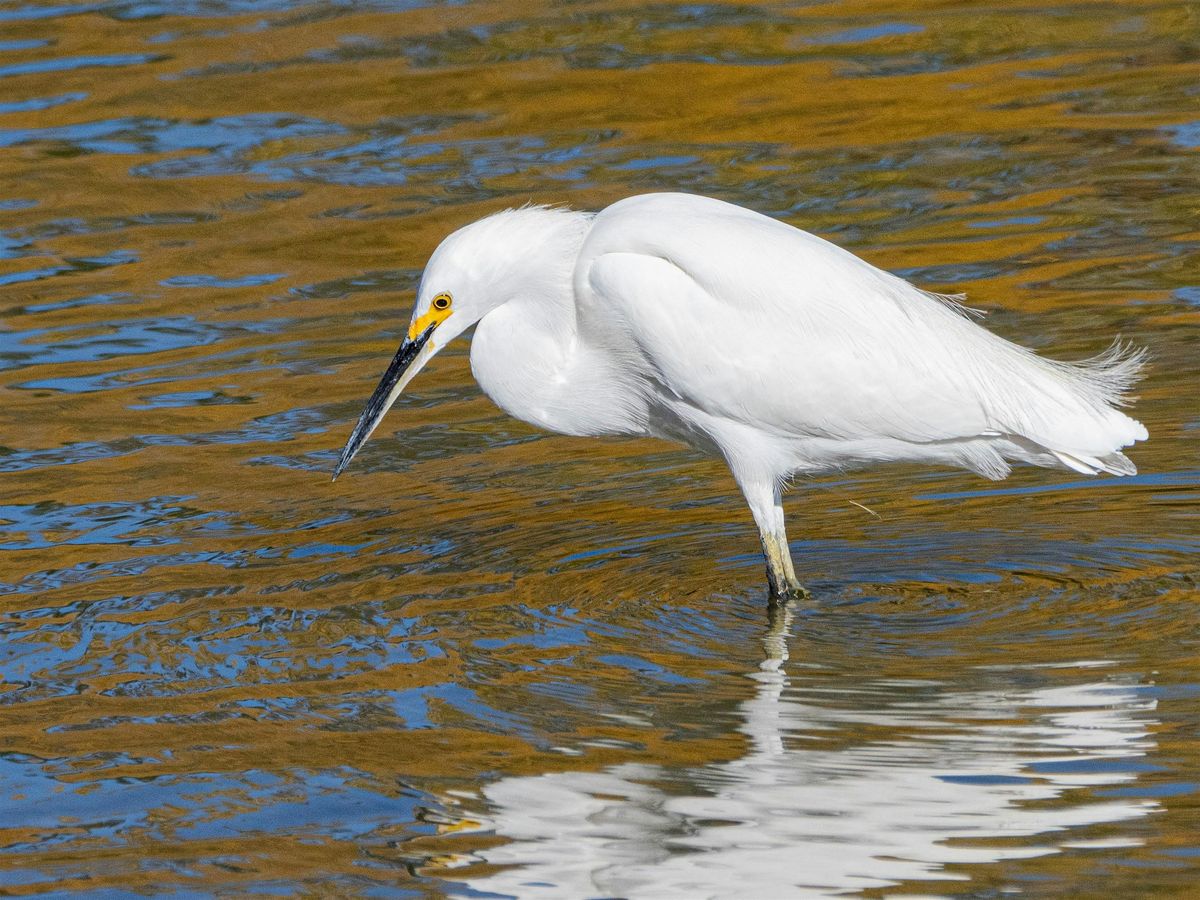 Hellyer County Park BioBlitz, 23 August | Event in San Jose | AllEvents