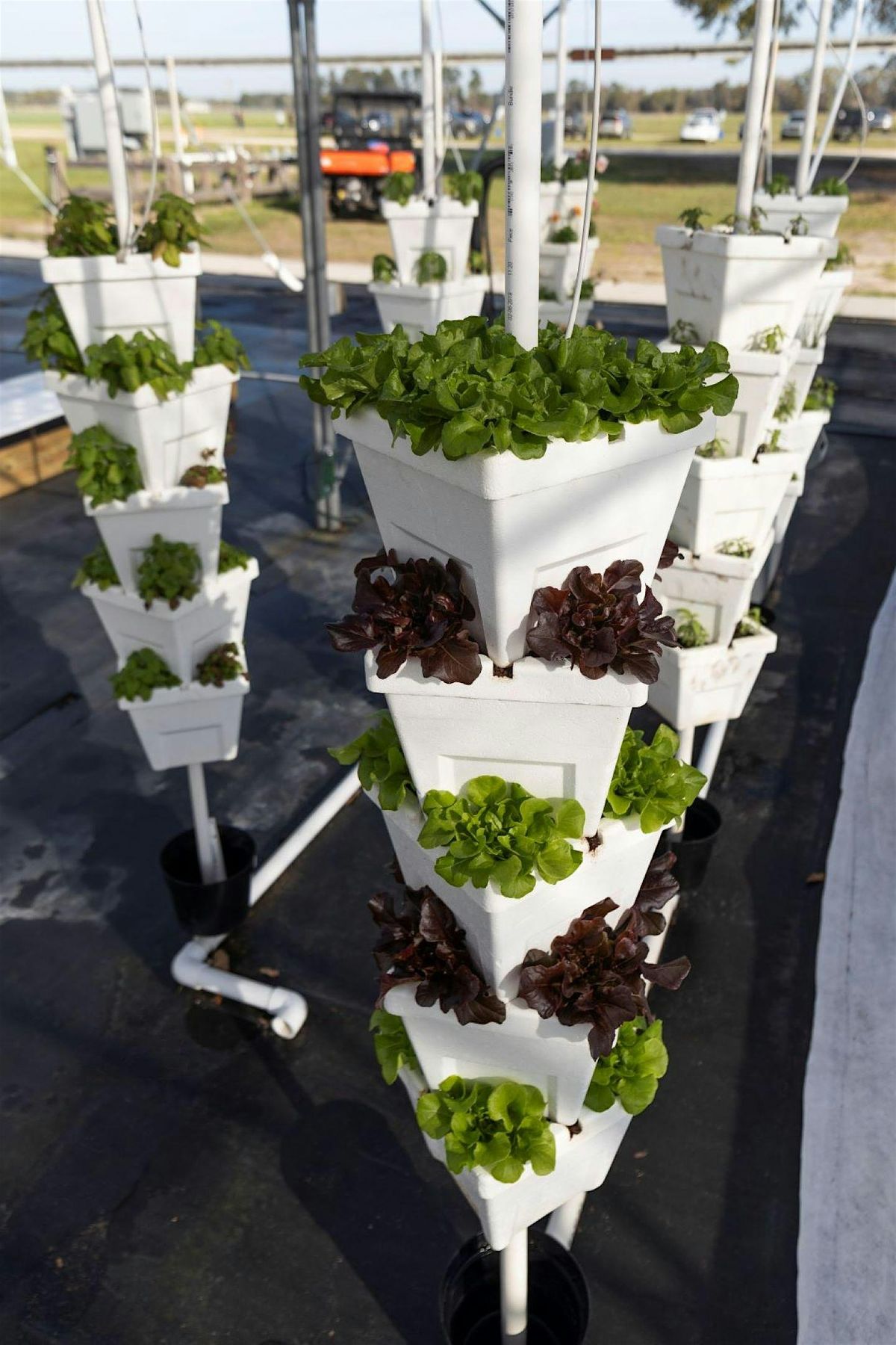 Hydroponics, 16 August | Event in Tavares | AllEvents