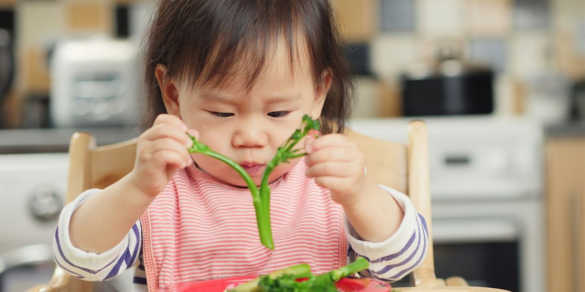 Introduction to Solid Foods Workshop, Greenfield FC 10:00–11:30, 22/09/2025, 22 September | Event in Waltham Cross