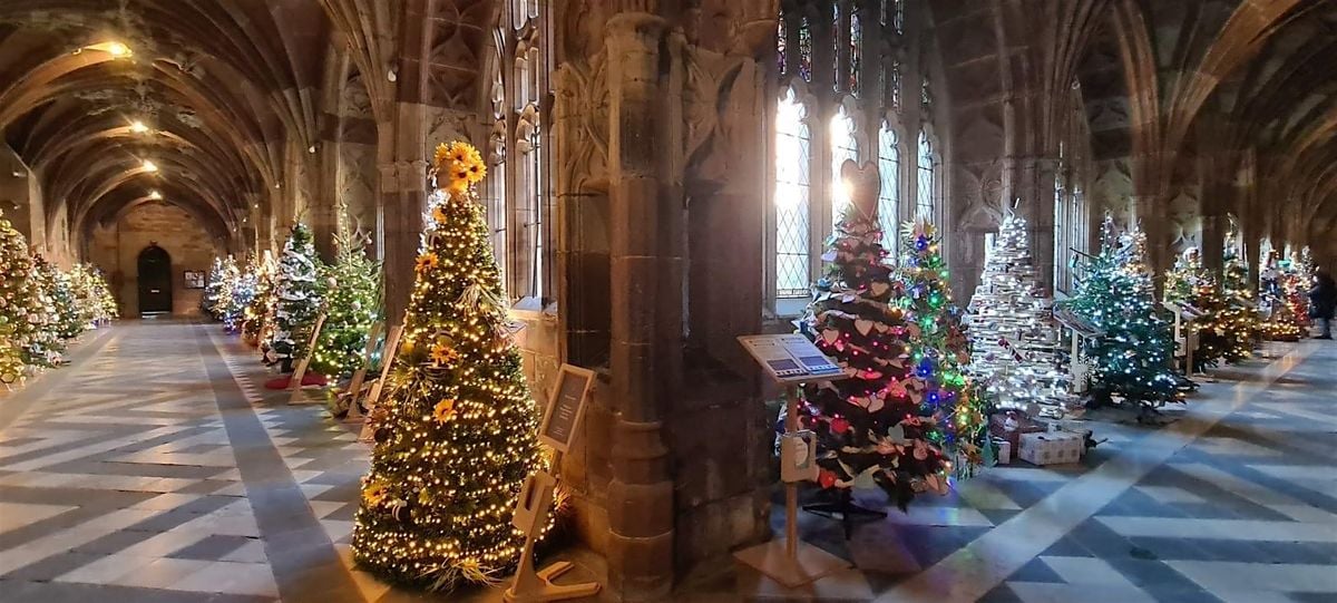 Schools Bookings: Worcester Cathedral Christmas Tree Festival 2025 (Free), 8 December | Event in Worcester