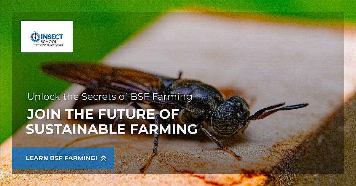 3 Day BSF Farming Training, Insect Engineers BV, Horst, 14 May to 25 ...