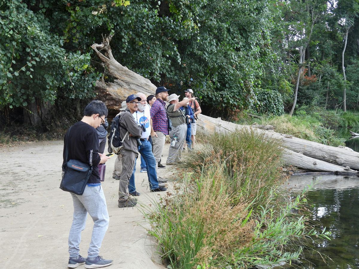 Lodi Lake Bird Walk, 2 August | Event in Lodi | AllEvents