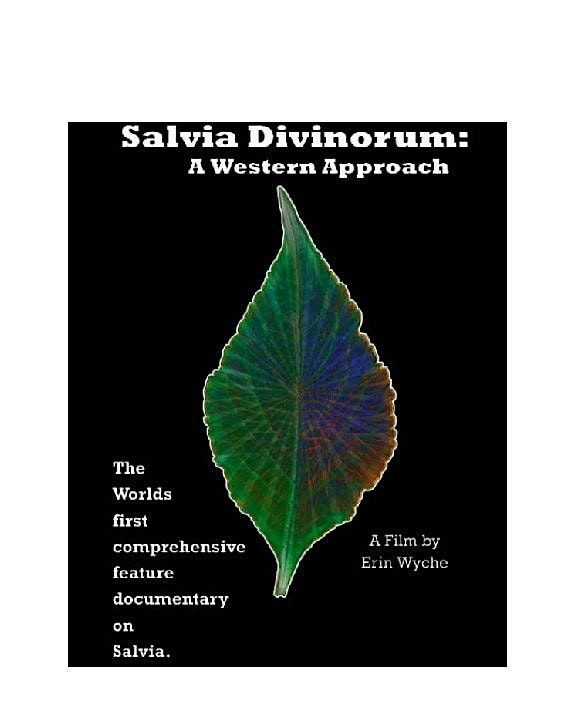 FREE FILM "Salvia Divinorum - A Western Approach" in North Beach SF 8/20/25, 20 August | AllEvents