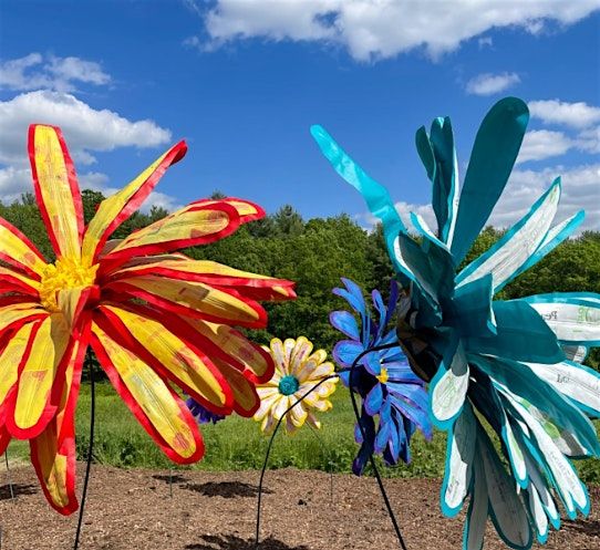 Experiments in Public Art Lecture Series: Molly Gambardella, 28 June | Event in Boulder | AllEvents