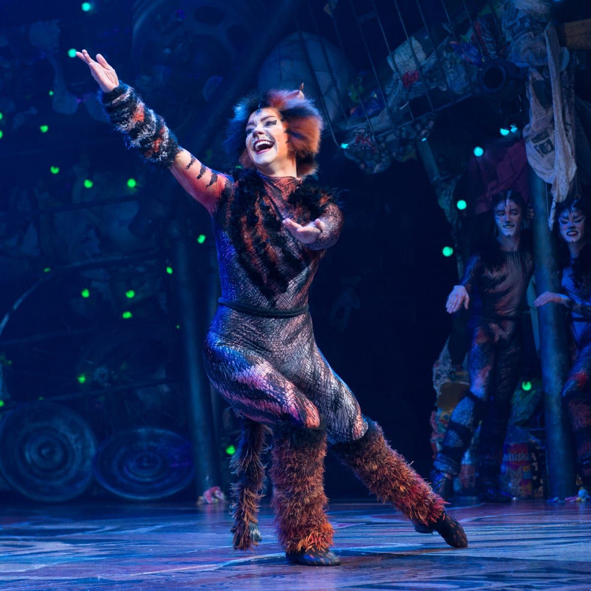 Cats at Seacoast Repertory Theatre | Event in Portsmouth | AllEvents
