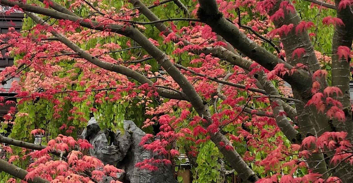 Combining Asian, European, and American Garden Design at Stark, 25 October | Event in Portland | AllEvents