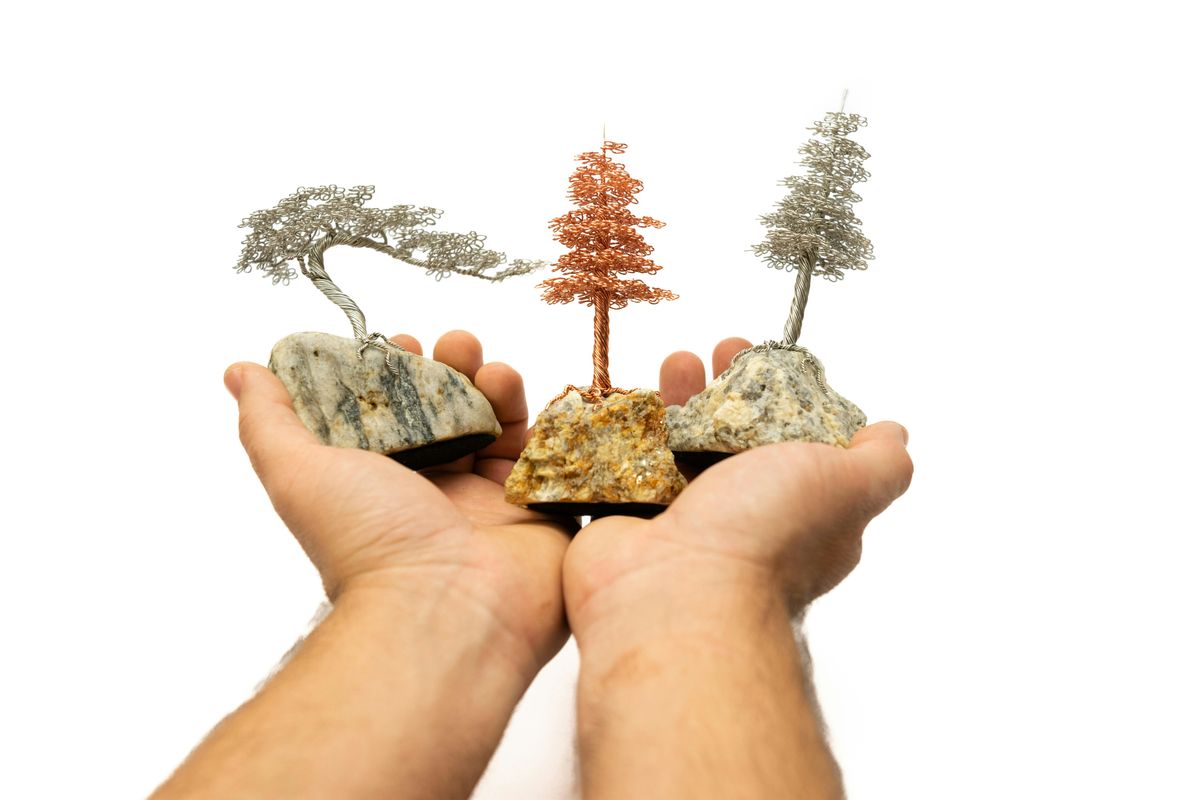 Wire Tree Art Class at Seacoast ArtSpot!, 21 August | Event in Portsmouth | AllEvents