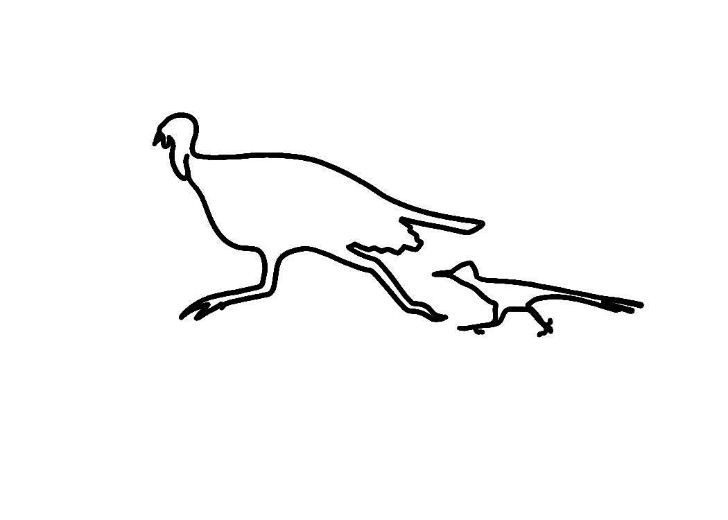 2025 Marfa Turkey Trot 5k Run/Walk | Event in Marfa | AllEvents