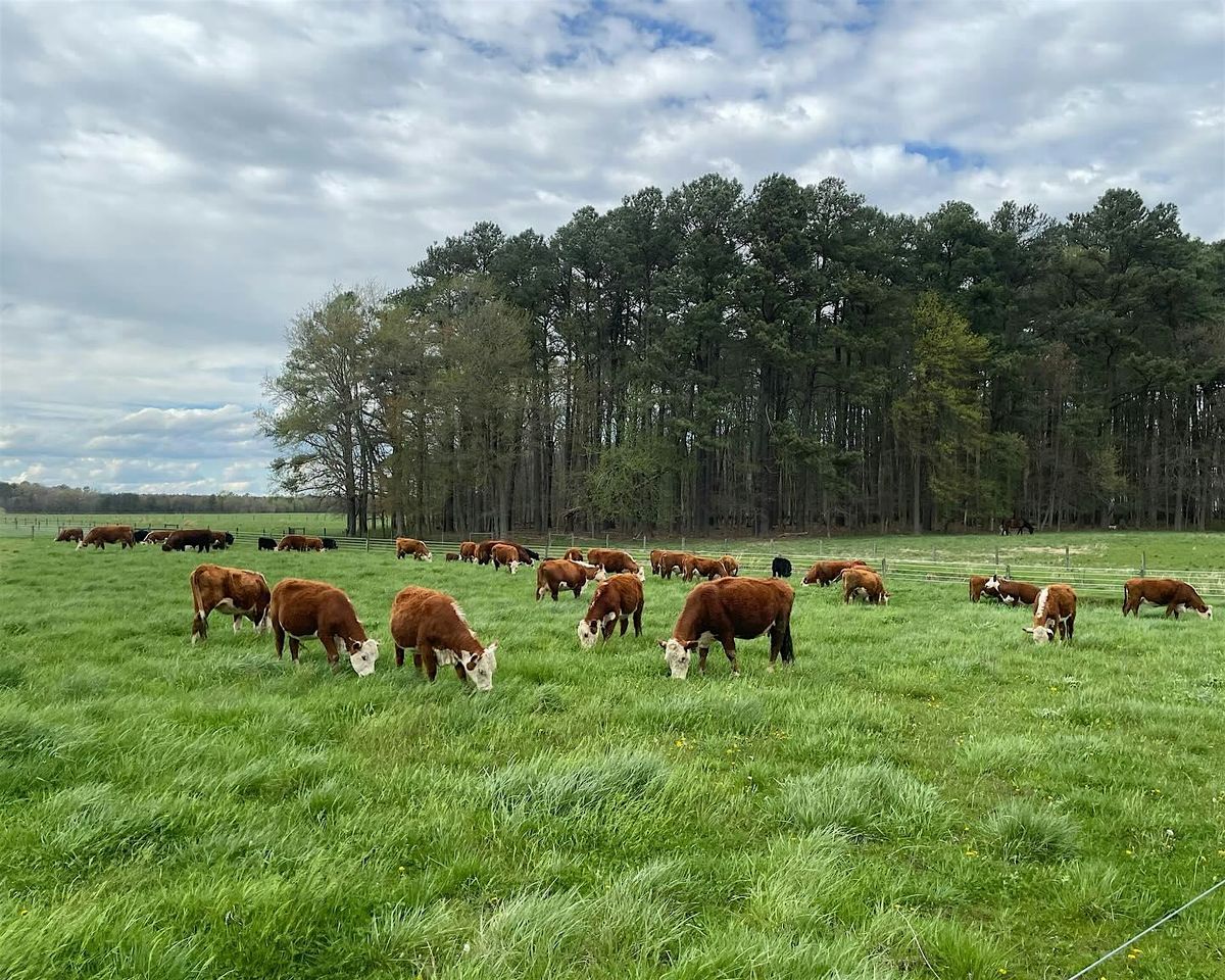Pasture Walk at Twin Cedar Farm, 27 August | Event in Cordova | AllEvents