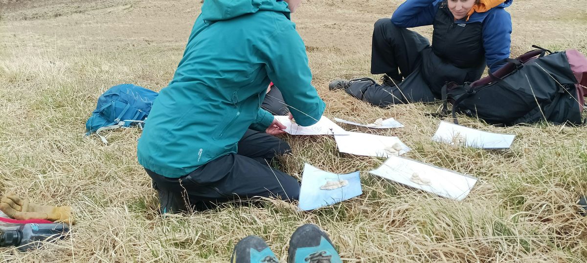 Ladies only -  Introduction to Navigation (half day course), 19 September | Event in Sheffield | AllEvents