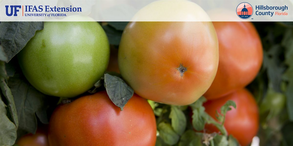 Vegetable Microirrigation Workshop In-Person, 3 December | Event in Seffner | AllEvents