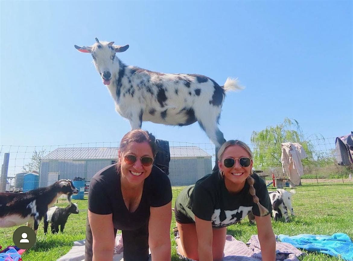 Goat Yoga at Alton Farmers Market, 28 June | Event in Alton | AllEvents