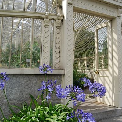 National Botanic Gardens of Ireland logo