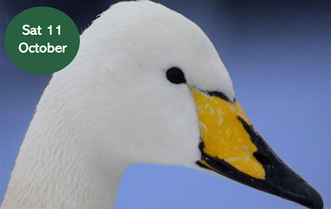 Winter Bird Walk, 11 October | Event in Gosforth | AllEvents
