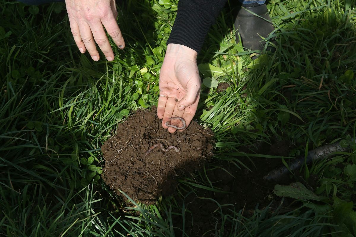 Region 6 Collegiate Soil Judging Event - Chico, 25 October | Event in Chico | AllEvents
