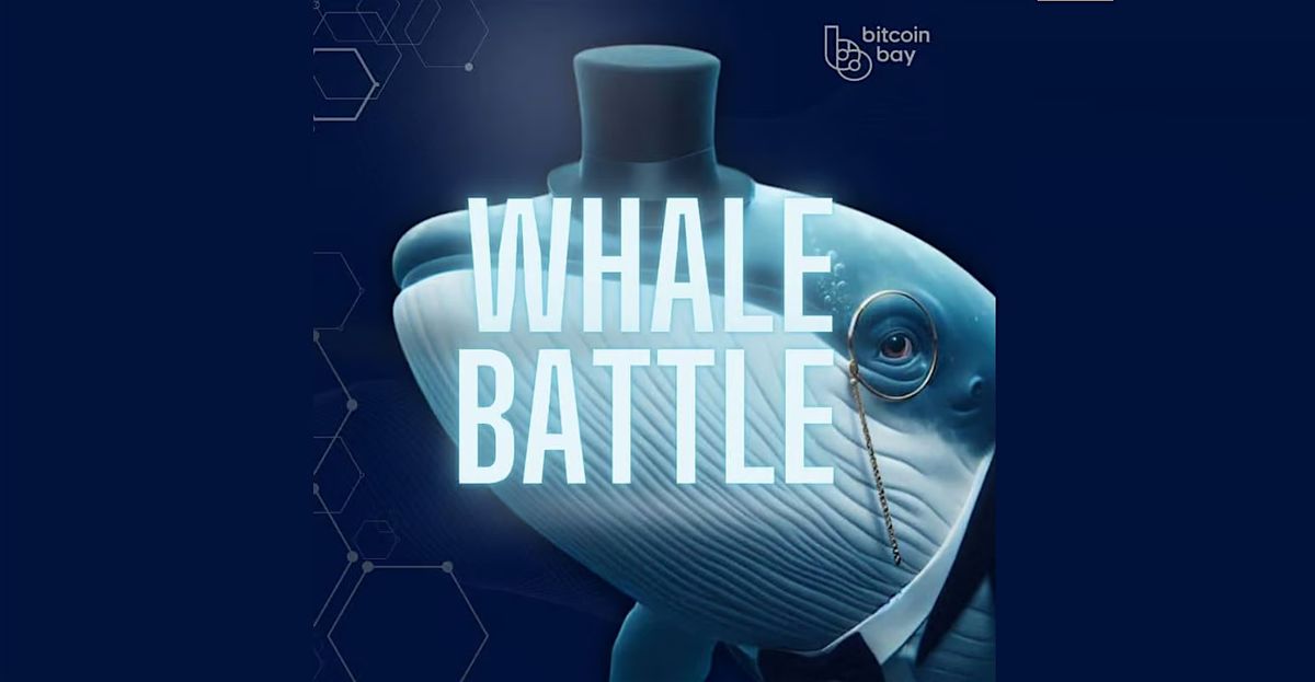 Whale Battle | Event in Toronto | AllEvents