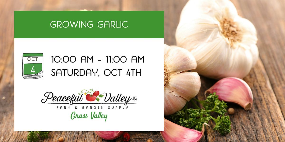 Growing Garlic, 4 October | Event in Grass Valley | AllEvents