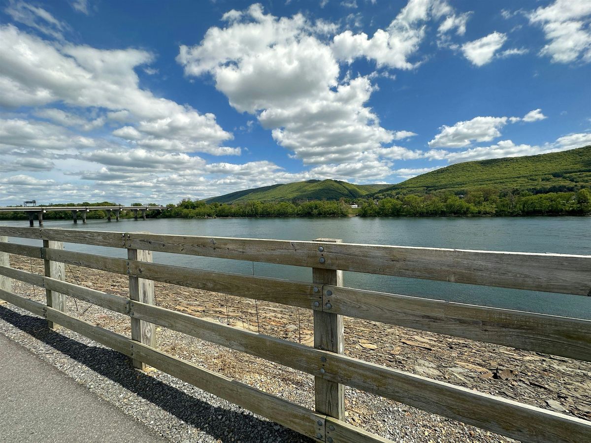 Awesome Scavenger Hunt - Williamsport Whimsical Wonders Hunt | Event in Williamsport | AllEvents