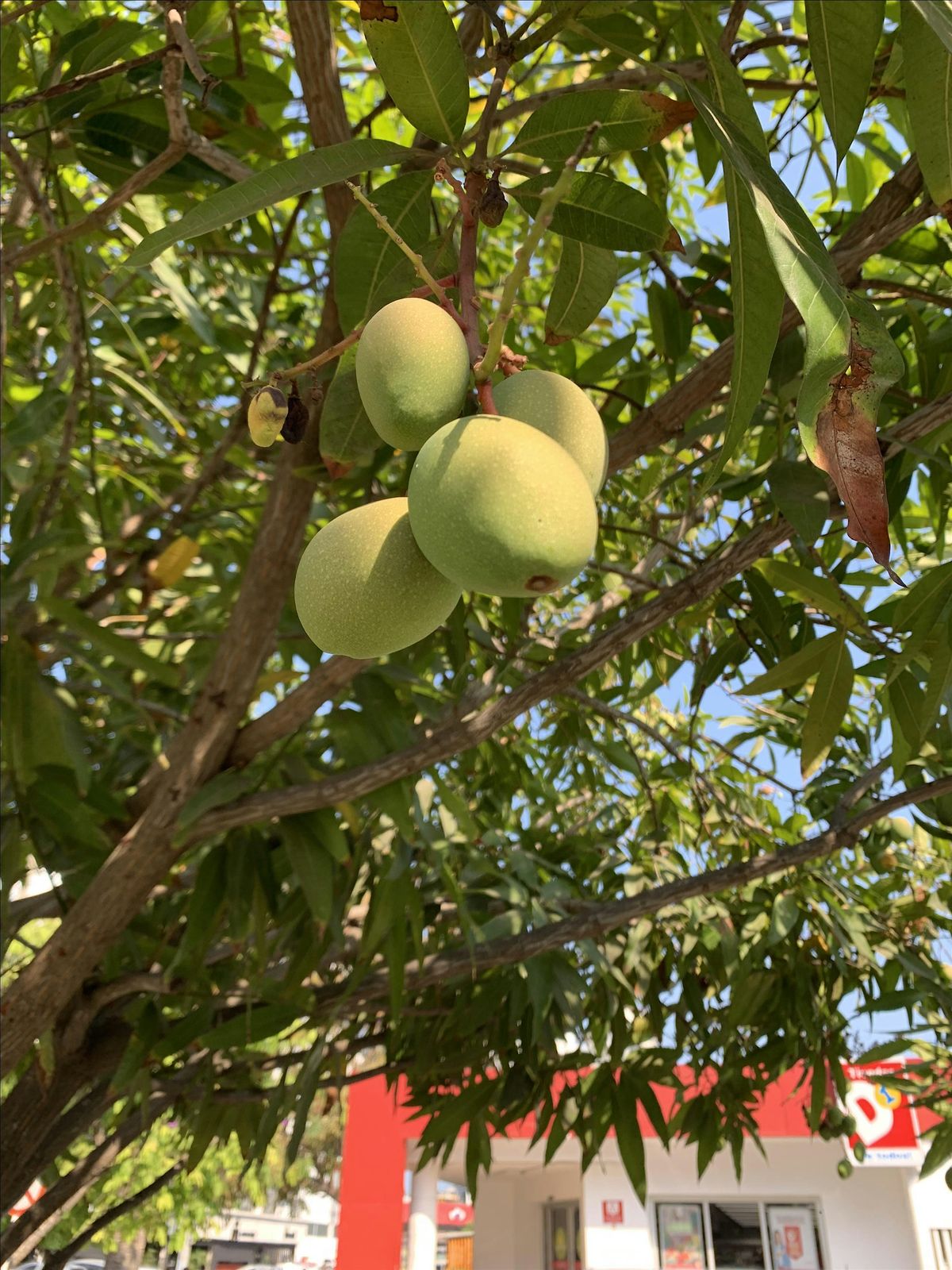 Muted No More: The Hidden Stories Behind Summer Ingredients, 24 August | Event in Teaneck | AllEvents