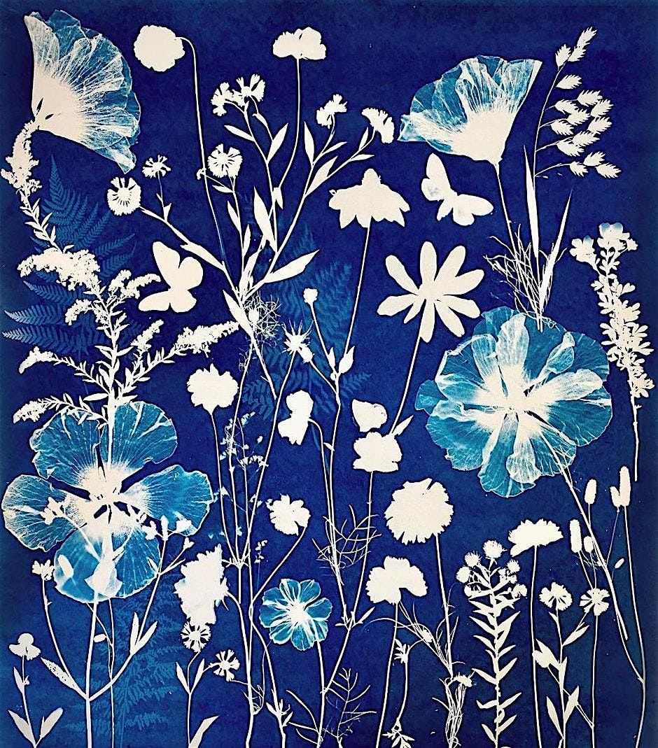 Fall Foliage Cyanotype Class, 12 October | Event in Brookings | AllEvents