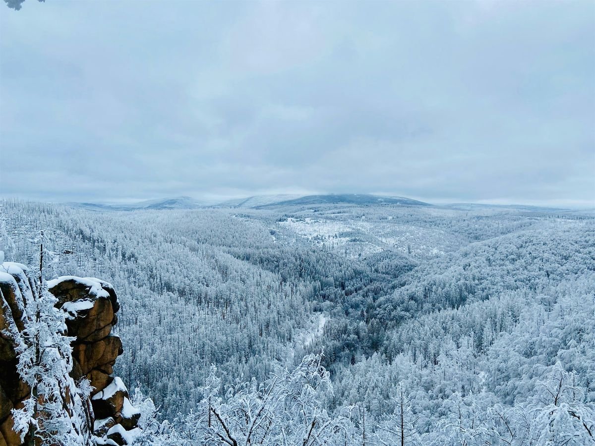 Harz Tour - Winter Wonderland, 31 January | Event in Braunschweig | AllEvents