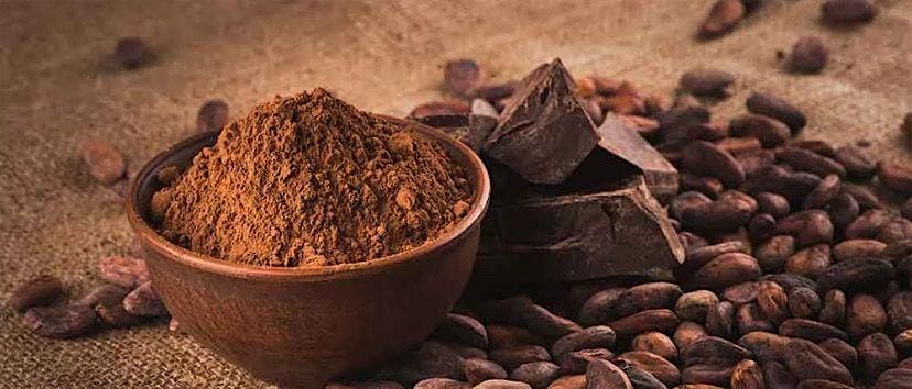 ️ Recover & Recharge with Wim Hof Method Breathwork & Cacao!, 31 August | Event in Amsterdam | AllEvents