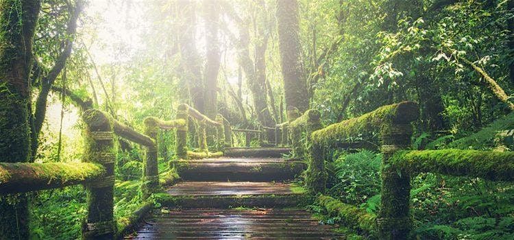Dream Interpretation Workshop - In-Person, 30 June | Event in Santa Cruz | AllEvents