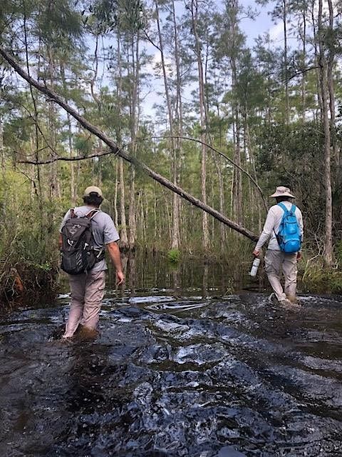 Geocaching at CREW Flint Pen Strand Trails, 14 December | Event in Bonita Springs | AllEvents